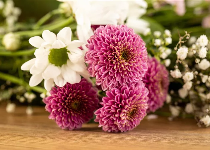 Schnittblumen Schnittblumen