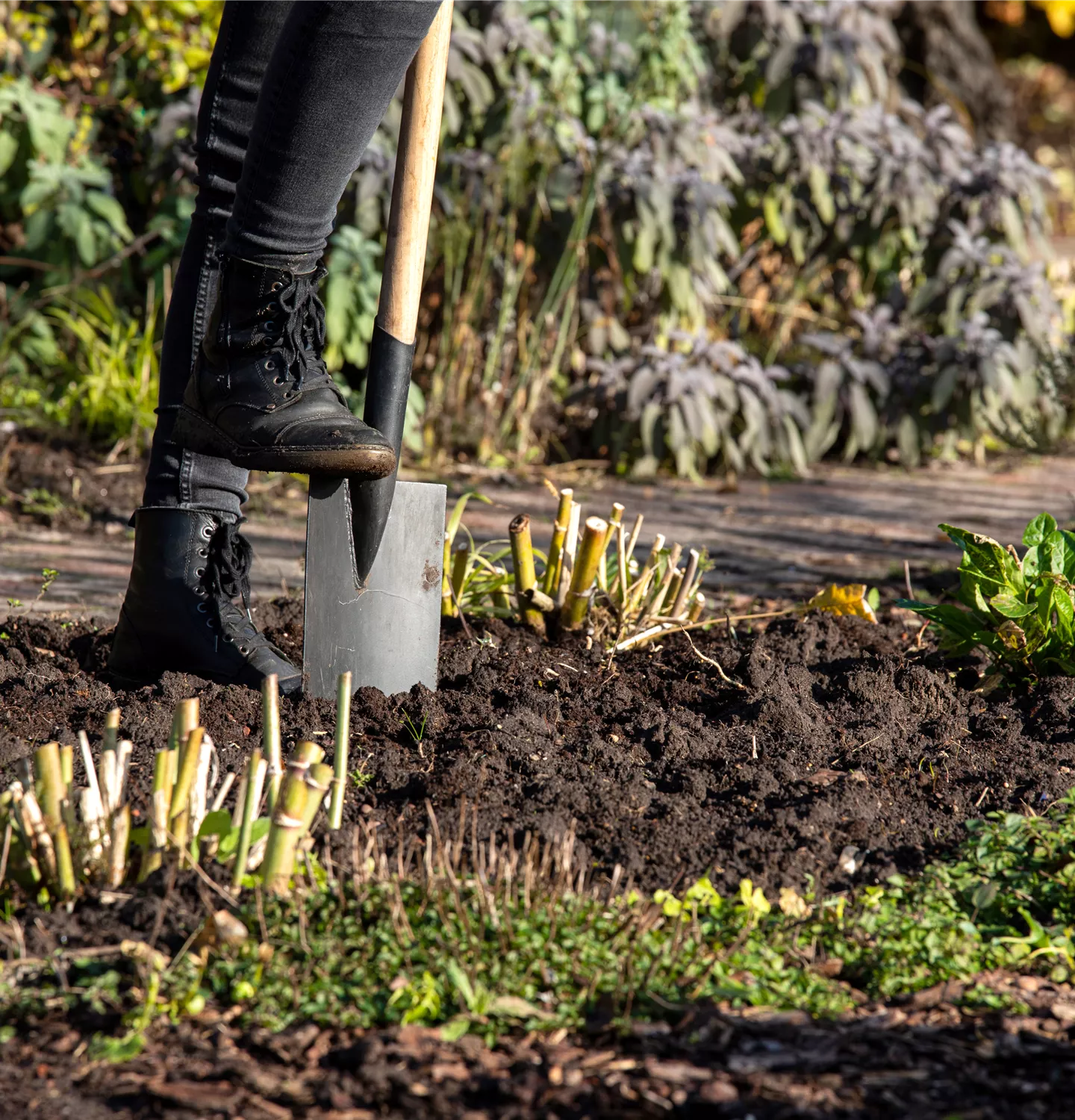 Mit dem richtigen Gartenbedarf aus unserem Shop wird Gartenarbeit kinderleicht